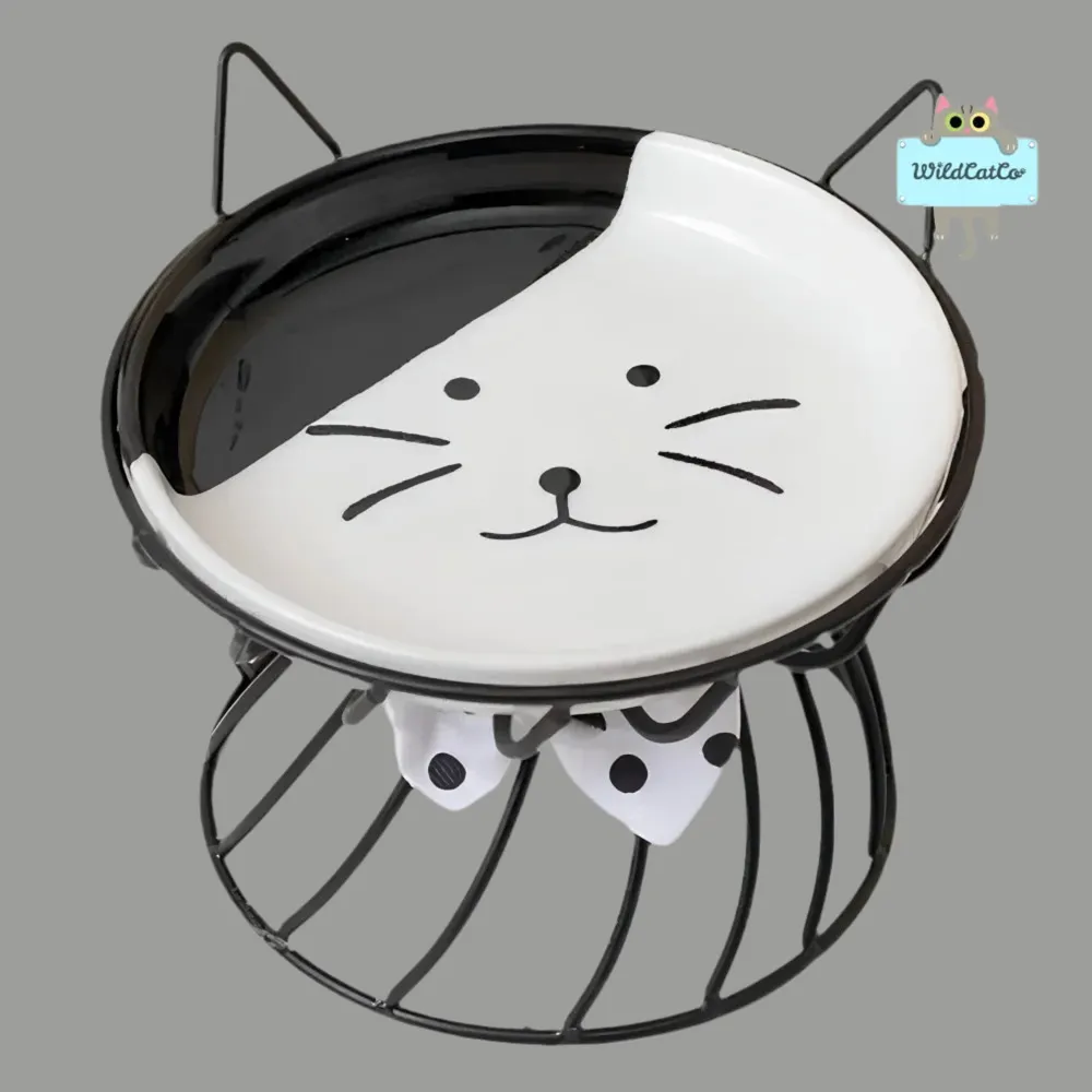 Kitty Lift Face Bowl