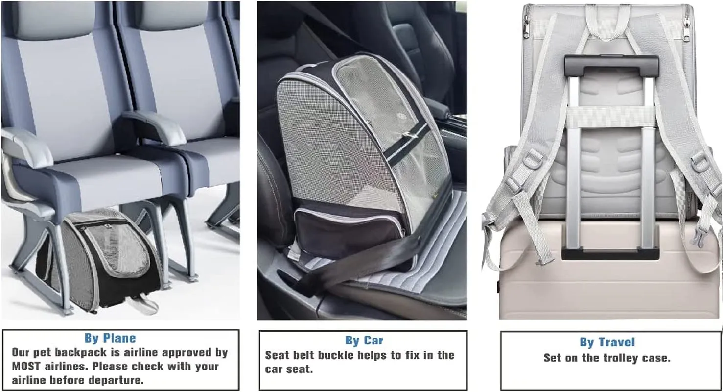 Sleek Black Space Bubble Backpack for Pets on the Go