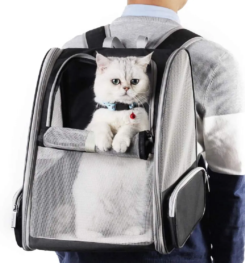 Sleek Black Space Bubble Backpack for Pets on the Go